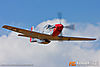 IMG_9461m_800_copy.jpg