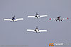 IMG_9490m_8001.jpg