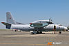 IMG_9493m_8001.jpg