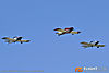 IMG_9519m2_800.jpg
