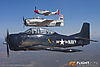 IMG_9542m_800.jpg