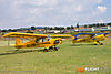 IMG_9657m_800_copy.jpg