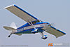 IMG_9711m_800.jpg