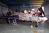 IMG_9724m_800_copy1.jpg