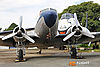 IMG_9752m_800.jpg