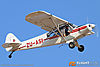 IMG_9817m_8002.jpg