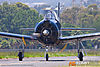 IMG_9839m_800_copy1.jpg