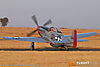 IMG_9894m_800.jpg