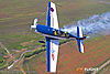 IMG_9903m_800.jpg