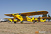IMG_9919m_800.jpg
