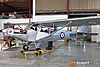 IMG_9941m_800.jpg
