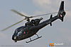 IMG_9969m_800.jpg