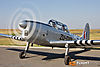IMG_9979m_800_copy.jpg