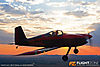 MG_0336m_800_copy1.jpg