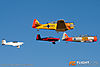 MG_0348m_800_copy.jpg