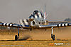 MG_0733M_800_copy1.jpg