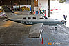 MG_0964m_800_copy1.jpg
