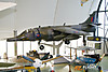 MG_1556M_800_copy.jpg