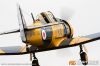 MG_1776m_800_copy.jpg