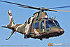 MG_2114M_800.jpg