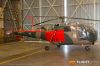 MG_2637m_800_copy.jpg