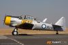 MG_3115m_800_copy1.jpg