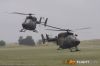 MG_3538M_800_copy.jpg