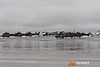 MG_3615m_800b.jpg