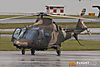 MG_3622m_800b.jpg