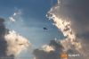 MG_3658m_800_copy.jpg