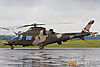 MG_3744m_800.jpg