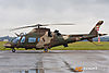 MG_3750m_800b.jpg