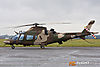 MG_3757m_800b.jpg
