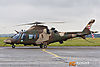 MG_3787m_800.jpg