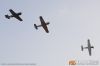 MG_4061m_800_copy.jpg