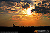 MG_4695M3_800_copy.jpg