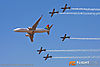 MG_5076m_800_copy.jpg