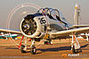 MG_5375m_800_copy.jpg
