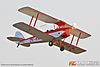 MG_5448m_800_copy.jpg