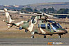 MG_5939m2_800.jpg