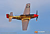 MG_6135m_800_copy.jpg