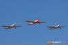 MG_6280m_800_copy1.jpg