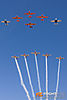MG_6452M_800_copy.jpg