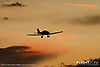 MG_6760M_800_copy.jpg