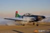 MG_7108M_800_copy1.jpg