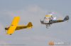 MG_7236m_800_copy1.jpg
