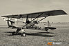 MG_7430m4_800.jpg