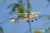 MG_7620m_800_copy1.jpg