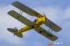 MG_7770m_800_copy.jpg