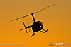 MG_7929M_800_copy.jpg